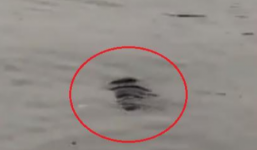 Tá hỏa phát hiện thi thể người đàn ông trôi nổi trên hồ Tây